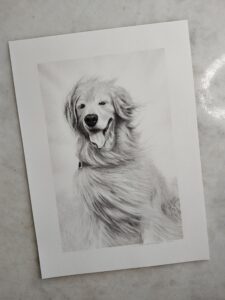grande cachorro peludo